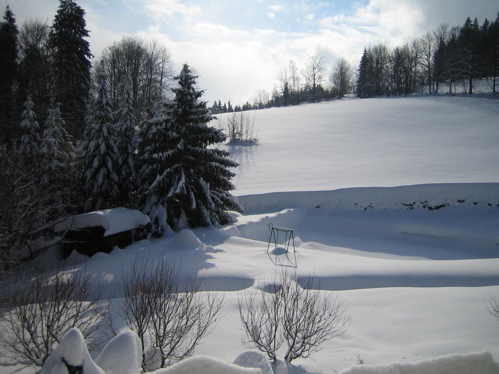 Chalet Lomy Villa Nové Město nad Metují Szoba fotó